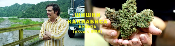 стаф Снежногорск