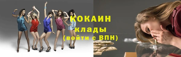стаф Снежногорск