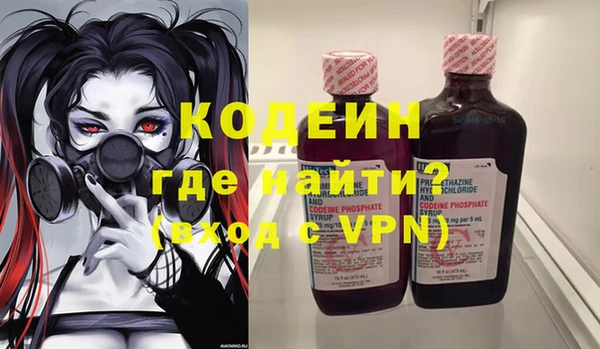 стаф Снежногорск