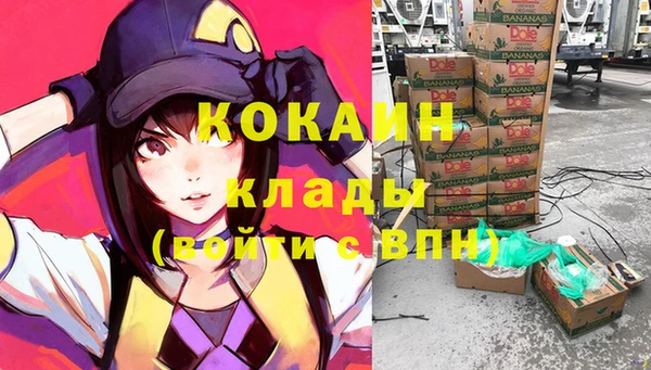 стаф Снежногорск